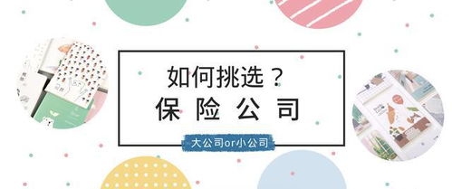 為什么保險經紀人總是推薦所謂‘小公司’的產品？保險代理眼中的真相
